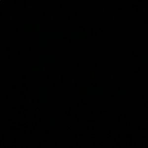 Meet your Posher, Bryce